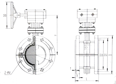 襯氟蝶閥結(jié)構示意圖